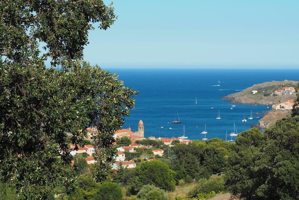 Villa Collioure Mar I Munt Exteriör bild